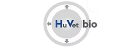 Huvetbio